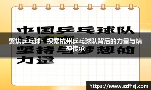 聚焦乒乓球：探索杭州乒乓球队背后的力量与精神传承