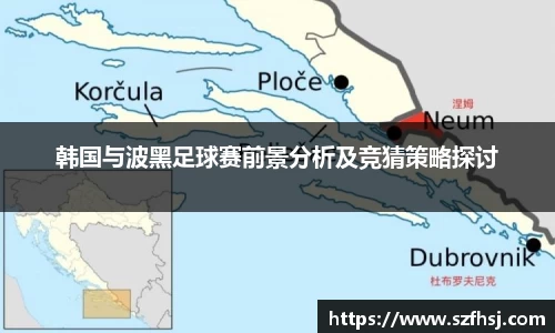 韩国与波黑足球赛前景分析及竞猜策略探讨