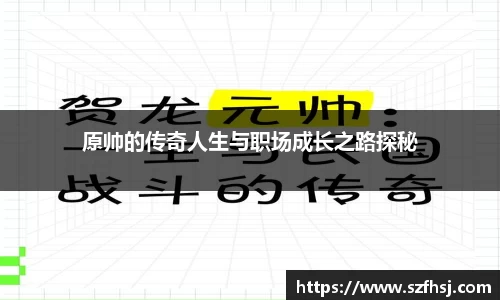 原帅的传奇人生与职场成长之路探秘
