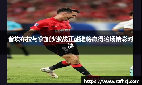 球王会体育官网