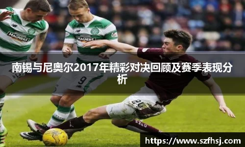 南锡与尼奥尔2017年精彩对决回顾及赛季表现分析